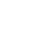 Evolution games at Lynx Bet Casino